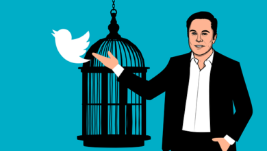 Paying for Twitter,The most important details of Musk's plan for Twitter 2022