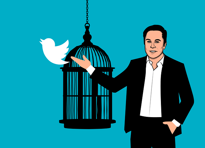 Paying for Twitter,The most important details of Musk's plan for Twitter 2022